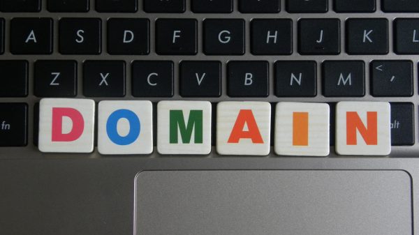 Illustration of a person selecting a domain name on a screen representing the article on how to choose a domain name on Host Easy (Australian web hosting)